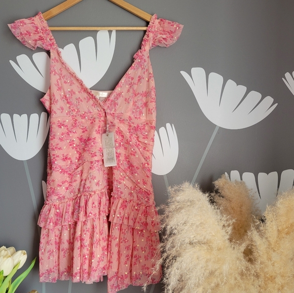 NWT LoveShackFancy Roey Mini Ruffle Dress Size 8 Autumn Rose - Picture 8 of 13